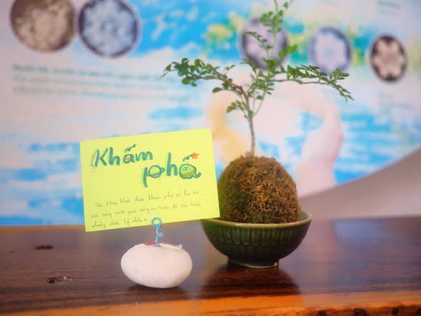 Cafe cùng Inner Space – hành trang cho sinh viên và người trẻ mới ra trường – hình ảnh hoạt động 1